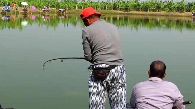 Best Catla Fishing Videos By Using Fishing Rod смотреть онлайн