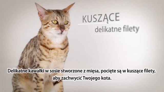 Purina ProPlan NutriSavour - PL