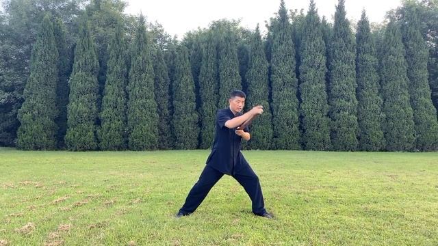 Как быстро повысить свои навыки, практикуя тайцзицюаньУчитель Хуан Ган учит вас Мастерству Тай-чи-па