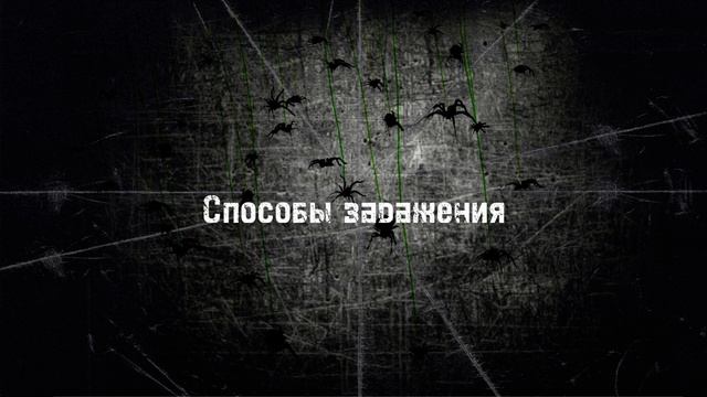 Дело Паучиха.