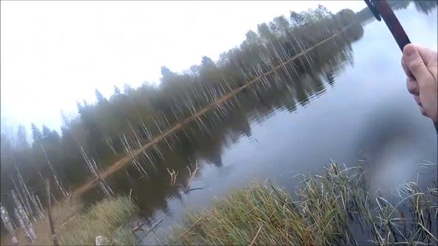 Reggae and плотва смотреть онлайн