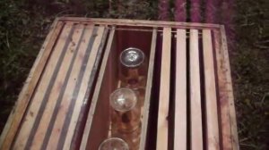 Пчеловодство. Сотовый мёд в банках???