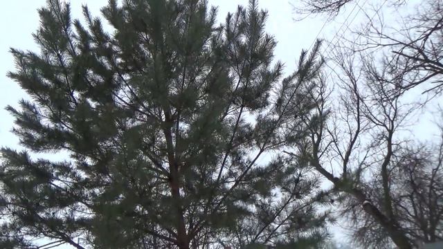 С НОВЫМ ГОДОМ ...мЛЯ смотреть онлайн