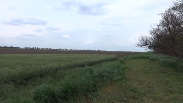 Едем косить сено смотреть онлайн