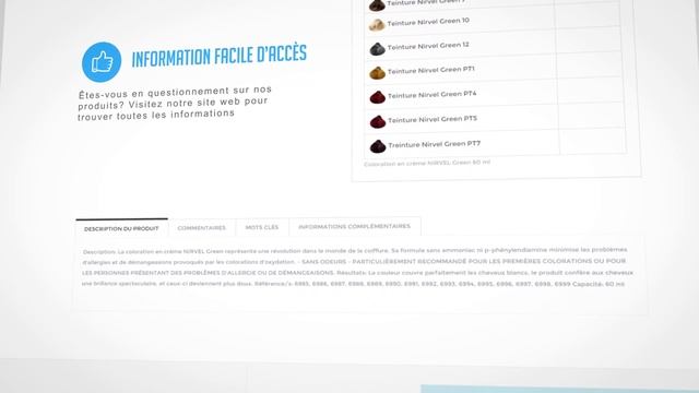 Nirvel - Présentation de notre site Web смотреть онлайн
