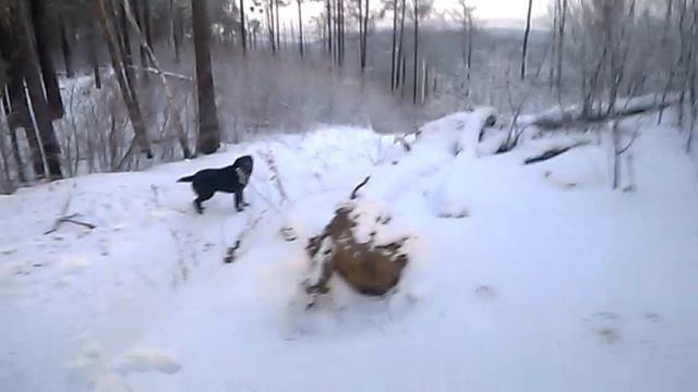 WP_20160117_08_54_36_Pro смотреть онлайн
