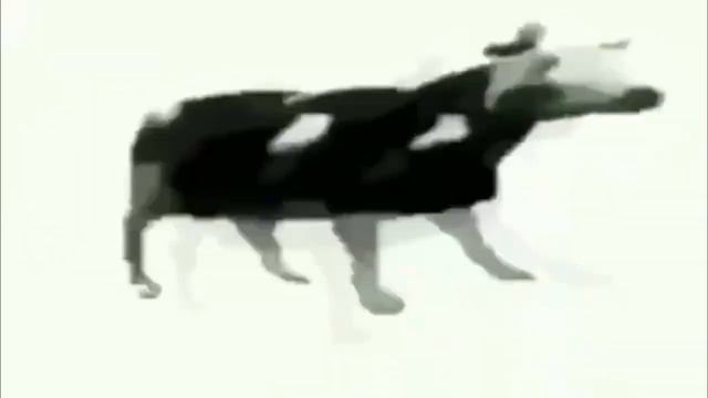 ОMG!!! КОРОВА ФЛЕКСИТ 10 ЧАСОВ ПОД ПОЛЬСКУЮ МУЗЫКУ!!! ШОК!!! смотреть онлайн