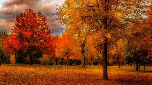 П.И. Чайковский «Времена года»P.I. Tchaikovsky "The Seasons" смотреть онлайн