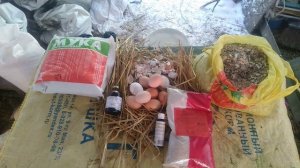 Куры несут яйца с тонкой скорлупой - причина?