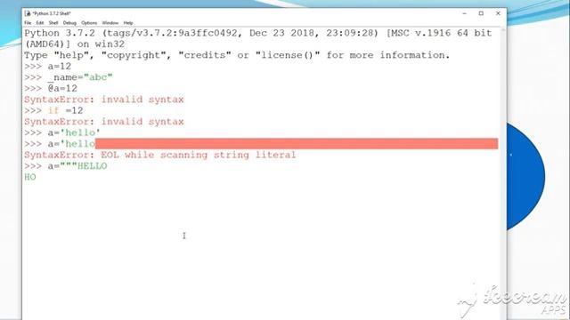 Grade 11 Computer Python Basics Numeric literals String literals Part 2 смотреть онлайн