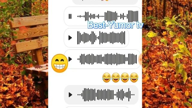 Дагестанский WhatsApp чат новая версия ватсап