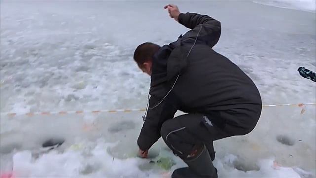Поимки и сходы форели до запуска. Клёвое место, Лосиный остров, верхний водоём. смотреть онлайн