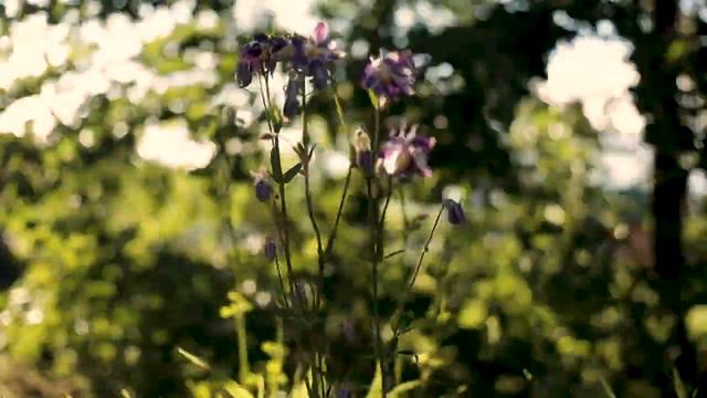 ДИТЯ НЕМЫСЛЕННЫЙ смотреть онлайн