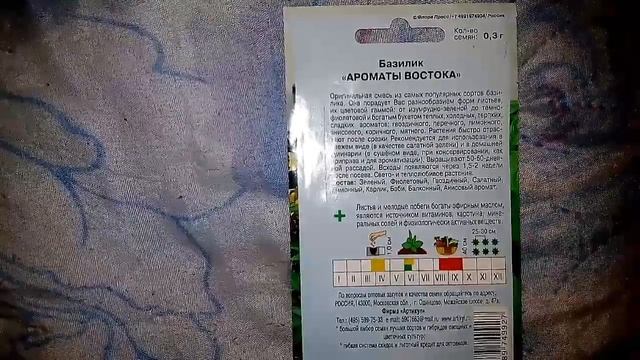 Ознакомление с ароматной зеленью базилик Ароматы востока смотреть онлайн