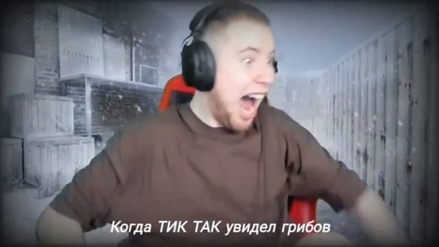 грибы нападают на тик так смотреть онлайн