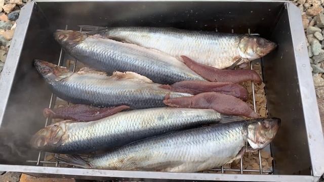 Коптим Сёледку | Идея Для Пикника смотреть онлайн