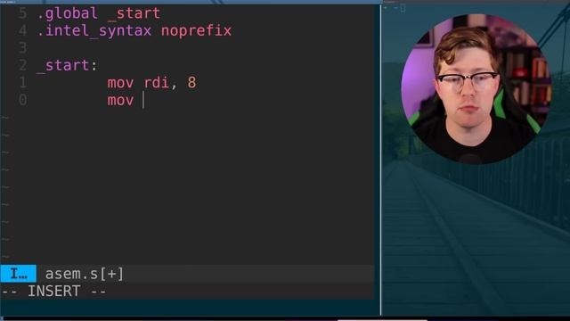 you can become a GIGACHAD assembly programmer in 10 minutes (try it RIGHT NOW) смотреть онлайн