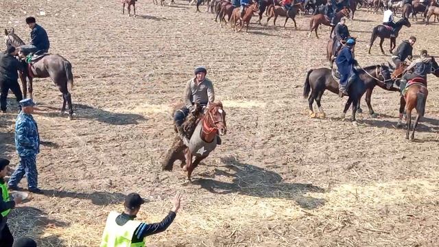 #SAMARQAND #URGUT.samarqand Urgut TEGANA KOʻPKARISIDAN LAVXA...... JAHONGIR HAMRAYEV