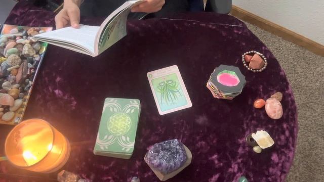 ?ORACLE HERBAL HEALING READING (Oats/FERTILITY! смотреть онлайн