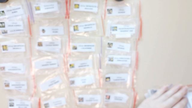 Unpacking. Распаковка Большой посылки с семенами! Литопсы, конофитумы и другое. смотреть онлайн
