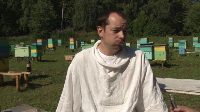 Пасека 2014 смотреть онлайн