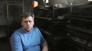 Перепела.Формирование родительское стада