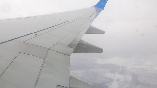 Boeing 737-800 Москва - Волгоград смотреть онлайн