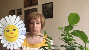 Сундучок сказок. Необыкновенная ромашка