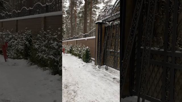Воспоминания о зиме. Монтаж кованых ворот. Русская усадьба. Распашные ворота с калиткой. смотреть онлайн