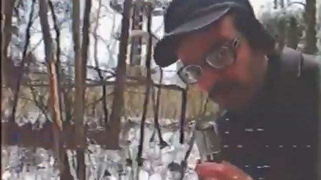 Лапенко. СЛИВ ПТИЧИЙ ЗАВОД