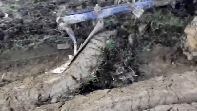 кінський плуг перероблений під мотоблок зубр смотреть онлайн