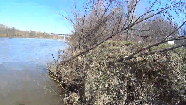 В ПОИСКАХ ВЕСЕННЕГО ЛЕЩА И БЕРША) ПОНТОННЫЙ МОСТ. ОТКРЫТИЕ ВЕСЕННЕГО СЕЗОНА. БЕРШ НА ТЮЛЬКУ.РЕКА ИЖ смотреть онлайн