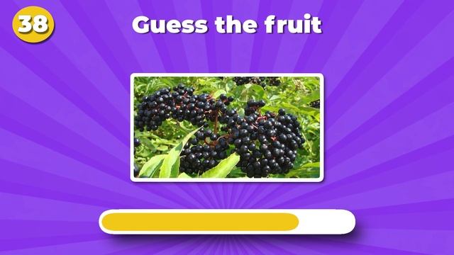 Guess the Fruit Challenge ?? | Fruit Quiz смотреть онлайн
