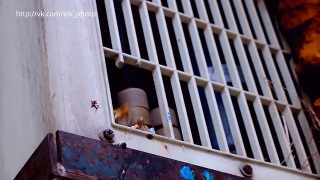Маленькие воробьи - птенцы воробьев: воробей свел гнездо с птенцами во внешнем блоке кондиционера смотреть онлайн