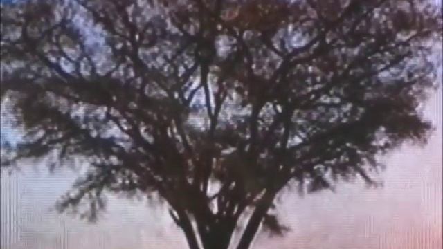 ДИВЛЮСЬ Я НА НЕБО ,ТАЙ ДУМКУ ГАДАЮ смотреть онлайн