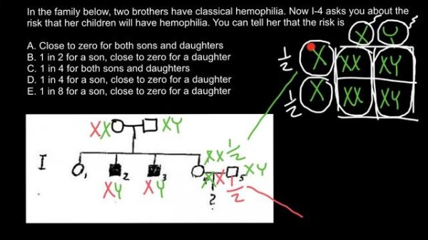 How to solve pedigree problems 6