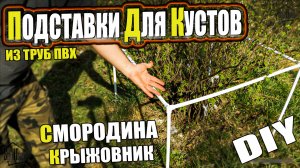 Подпорки для кустов своими руками из полипропиленовых труб. Подставки для веток |SteinHouse