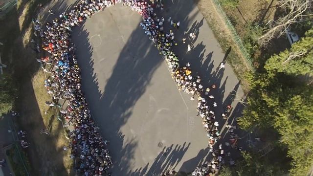 1 сентября 5 гимназия Волгоград смотреть онлайн
