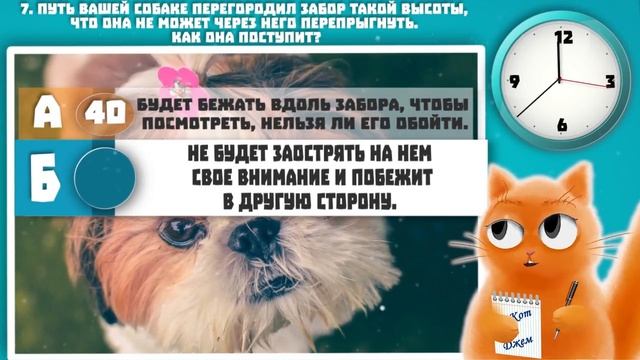 Умная ли у вас собака? Тест с прикольным котом Джемом! ? смотреть онлайн
