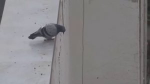 °×Кто ты говоришь тебя обидел?×°