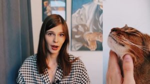 КАКУЮ ПОРОДУ ВЫБРАТЬ? / АБИССИНСКАЯ КОШКА / ПРИЧИНЫ ВЫБРАТЬ