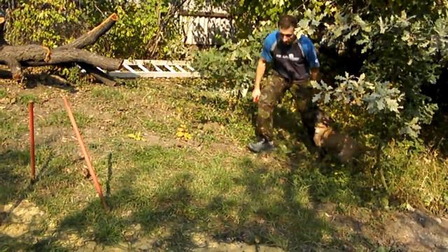 Обучение слалому, Динамика смотреть онлайн