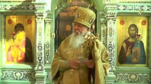 #Борьбастелом. Епископ Августин (Анисимов).