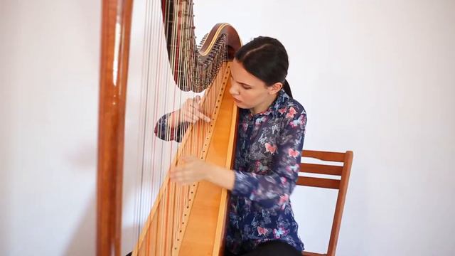 01 Sonata in C Minor J L Dussek A1 смотреть онлайн