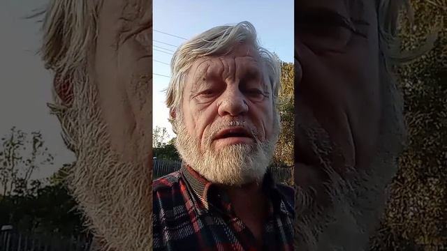 анекдот про. кораблестроителя Петра 1 и кучу граблеи смотреть онлайн