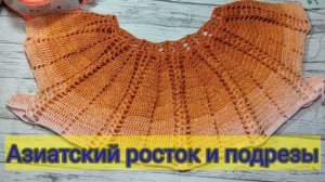 Вяжем азиатский росток и подрезы. Летняя кофточка с круглой кокеткой.