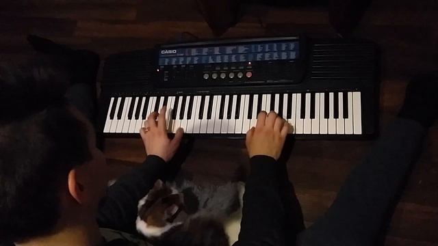 17.02.25 Piano cover смотреть онлайн