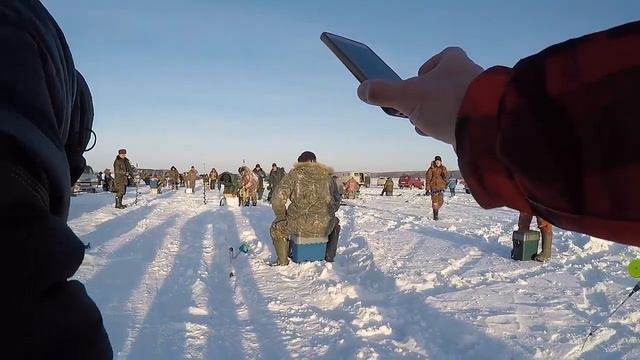 Нельма или Чир поймался на Обском море Зимняя Рыбалка Спирино смотреть онлайн