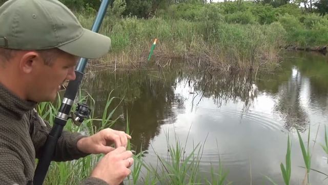 Ловим карася. Десять штук за 5 минут!! смотреть онлайн