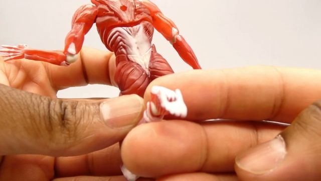 FREEing Human Anatomical Model figma Action Figure Review смотреть онлайн
